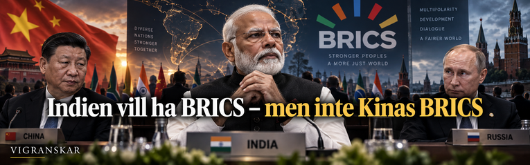 Indien vill ha BRICS – men inte Kinas BRICS